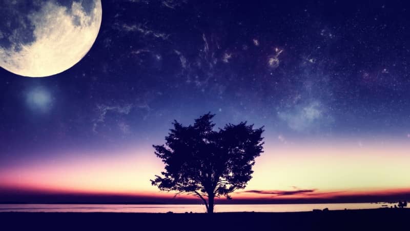 (栀子花浸盆法浇水一般浸多久)栀子花...