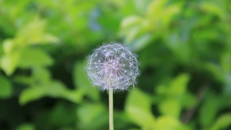 (中国建造世界最大的航母)世界上最大的航母是什么级别