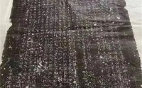 浙江发现一座元代古墓 其中发现了书法真迹（元代古墓）