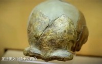 北京人头盖骨为何那么重要？它能证明进化论，可惜被弄丢了