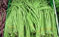 得了肾盂肾炎能吃豆角吗 什么食疗方能调治肾盂肾炎