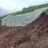 四川开江发现西汉古墓 三个墓室紧紧挨着（西汉古墓）