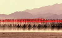 漠北之战：汉武帝元狩四年发生的战争(大获全胜)