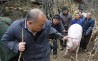 河北出现北齐皇帝古墓 成为了一个考古奇迹（皇帝古墓