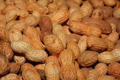 可以用白醋泡花生米 高血脂可常吃