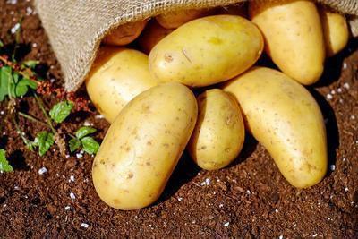3到6岁儿童食谱 儿童可以吃哪些食物