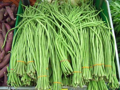 得了肾盂肾炎能吃豆角吗 什么食疗方能调治肾盂肾炎