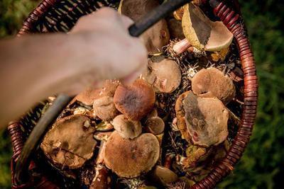 食物中毒用住院吗 食物中毒要怎样急救
