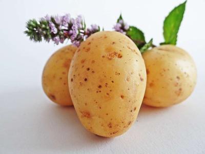 如何预防食物中毒 食物中毒后怎么办呢