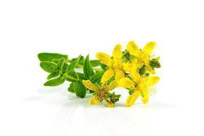 用什么泡水喝清热解毒 吃什么水果清热解毒