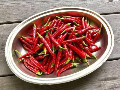 湿疹喝薏米红豆管用吗 湿疹的病因及其治疗与预防