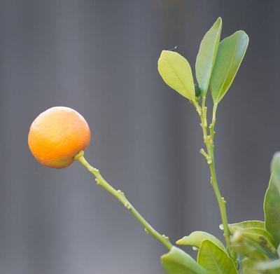 吃东西嗓子疼的原因 嗓子疼如何护理