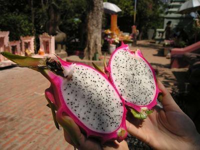 海南菠萝蜜怎么吃 如何挑选菠萝蜜好