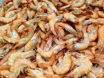 海米怎么吃好 海米与什么食物相克的