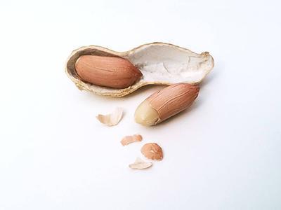 日常吃太多花生胆固醇高吗 每天吃花生的6大好处