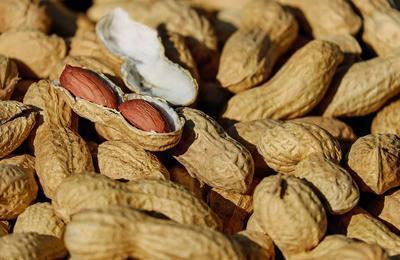 日常吃太多花生胆固醇高吗 每天吃花生的6大好处
