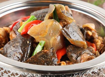甲鱼去腥方法 甲鱼汤怎么做好吃