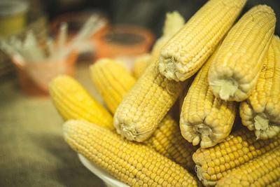 玉米饼做法 玉米饼的营养价值