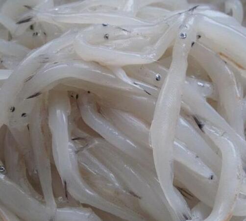 干银鱼的副作用有哪些 干银鱼怎么做