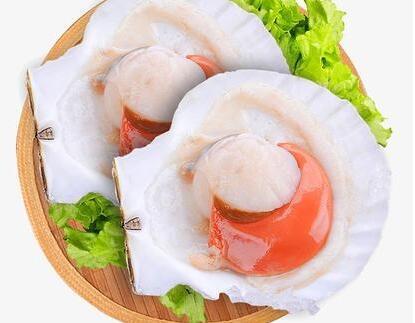 扇贝的胆固醇高吗 有什么原因呢