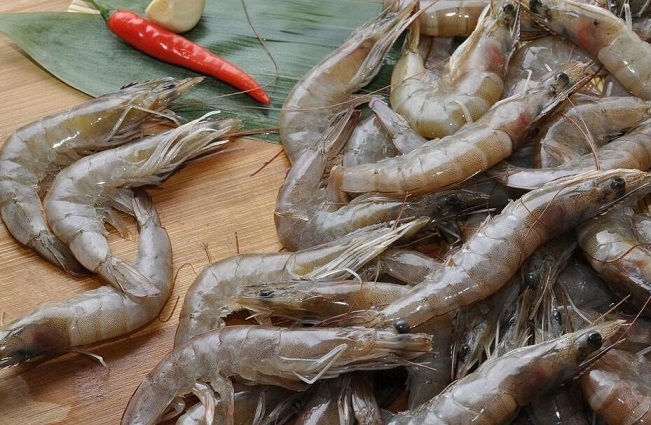 胆固醇高能吃虾吗 不能吃的食物有哪些呢